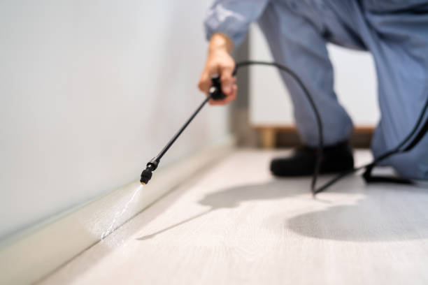 Licensed Termite Control service in Dumfries, VA - Nex Pest Control