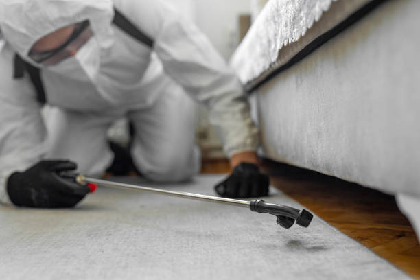 Professional Termite Control technician working in Dumfries, VA