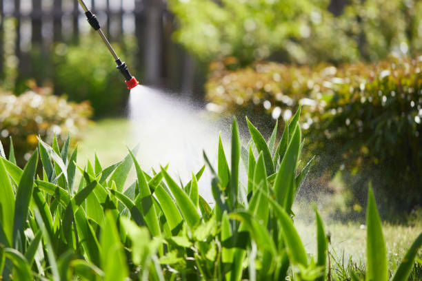 24/7 Emergency Termite Control experts in Dumfries, VA