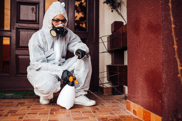 Reliable Termite Control contractor in Dumfries, VA by Nex Pest Control